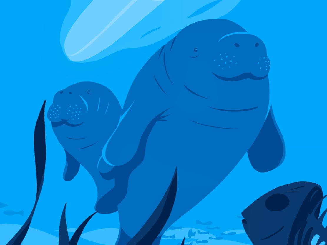 Vote4Wildlife2022-CropManatee
